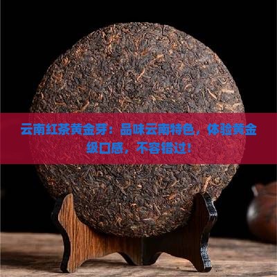 云南红茶黄金芽