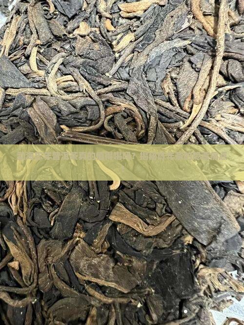 勐海忘年普洱茶