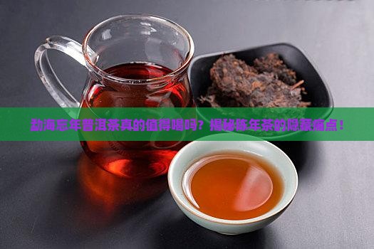 勐海忘年普洱茶