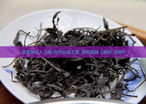 普洱茶让人上瘾