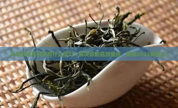 冰岛普洱茶的小知识科普