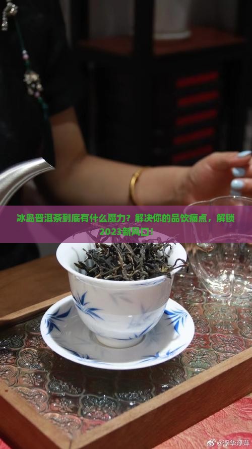 冰岛普洱茶的小知识科普