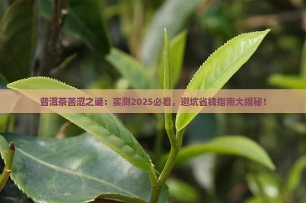 普洱茶喝着苦是什么原因引起的