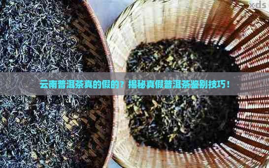 云南普洱茶真的假的