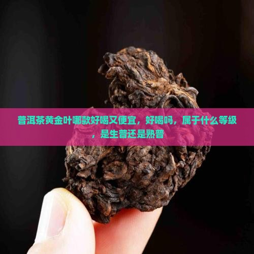 普洱茶黄金叶哪款好喝又便宜