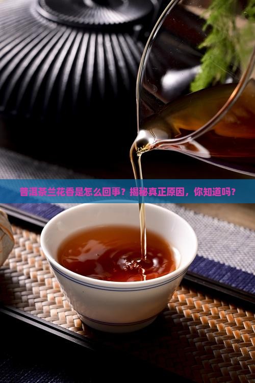 普洱茶兰花香是什么原因