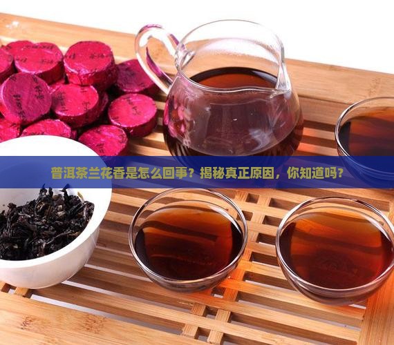 普洱茶兰花香是什么原因