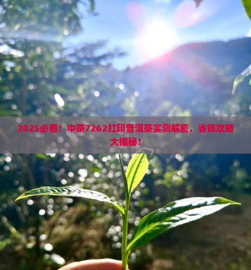 中茶7262红印普洱茶