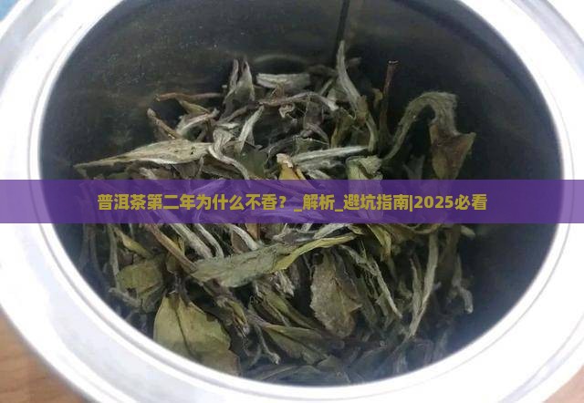 普洱茶第二年为什么不香