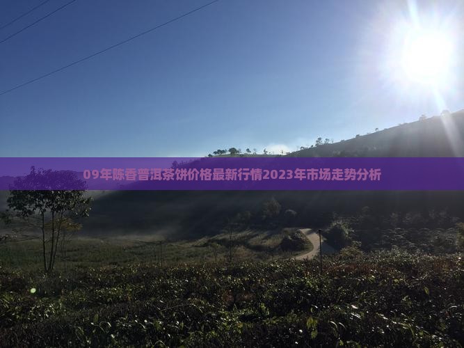 09年陈香普洱茶饼价格