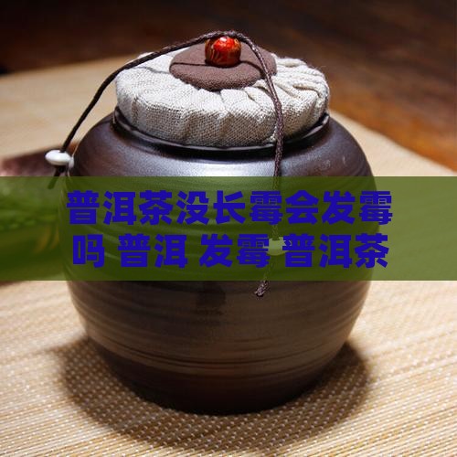 普洱茶没长霉会发霉吗