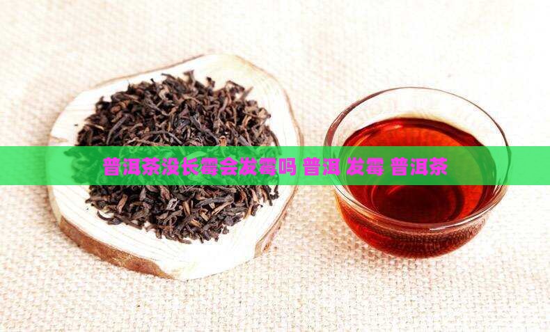 普洱茶没长霉会发霉吗
