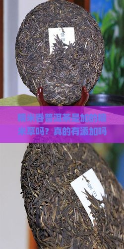 糯米香普洱茶是加的糯米草吗