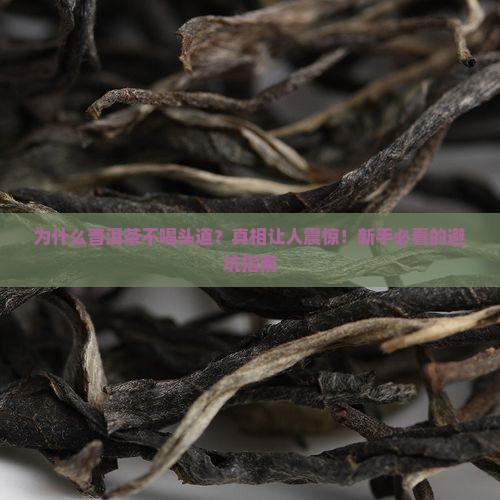 为什么普洱茶不喝头道