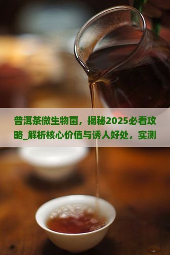 普洱茶微生物菌