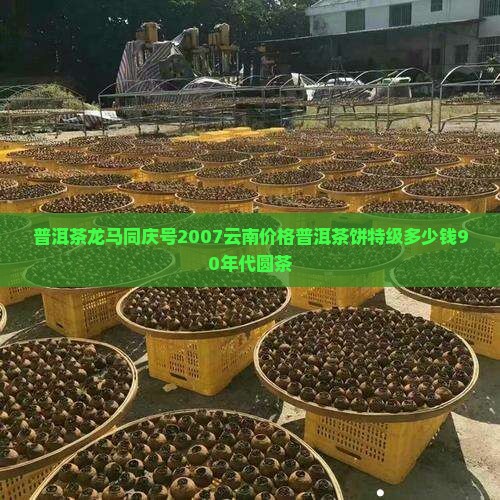 普洱茶龙马同庆号