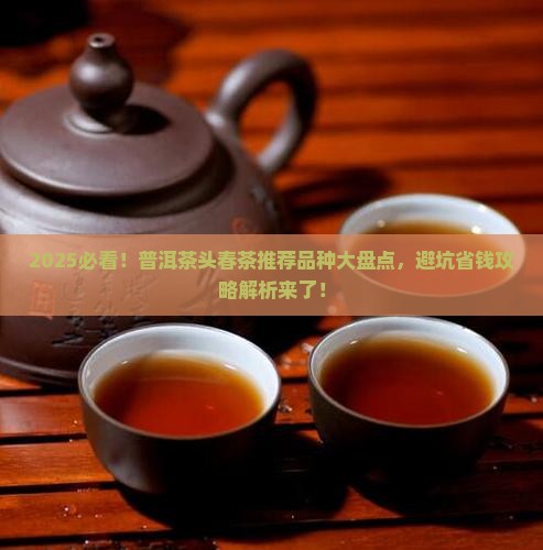 普洱茶头春茶推荐品种