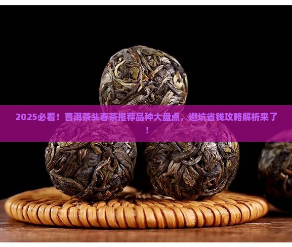 普洱茶头春茶推荐品种