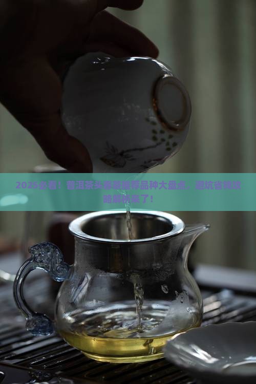 普洱茶头春茶推荐品种