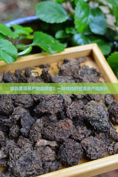冰岛普洱茶产地是哪个地方