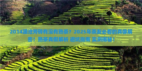 2014澜沧芳砖有没有熟茶