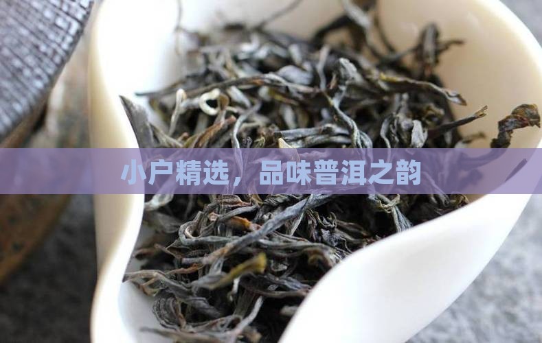 临沧小户赛普洱茶