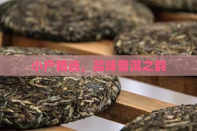 临沧小户赛普洱茶