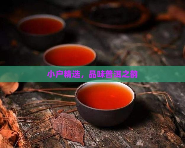 临沧小户赛普洱茶