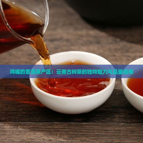 鸡嘴的普洱茶产区