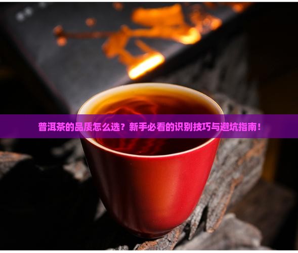普洱茶的品质与识别研究