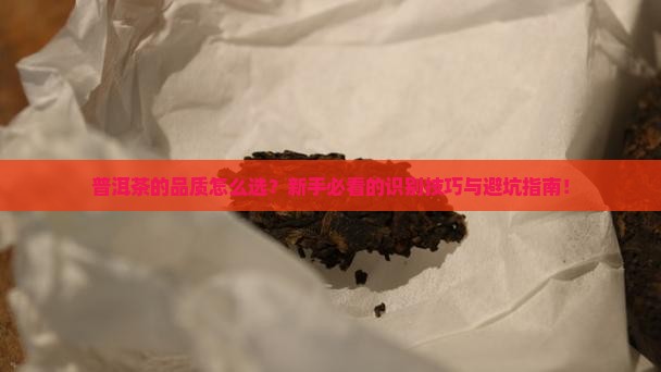普洱茶的品质与识别研究