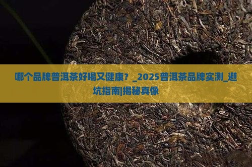 哪个品牌普洱茶好喝又健康
