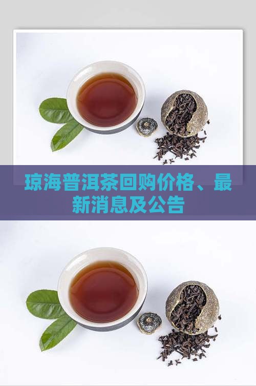 琼海普洱茶回购