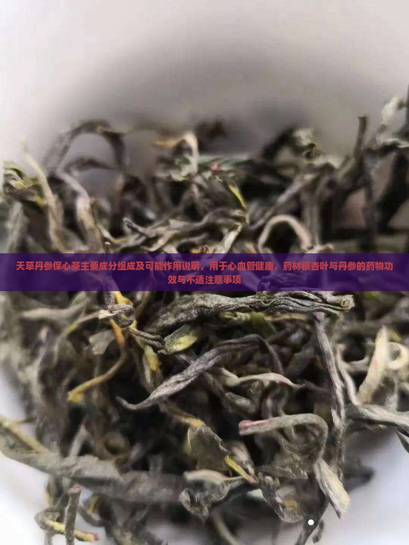 天草丹参保心茶主要成分