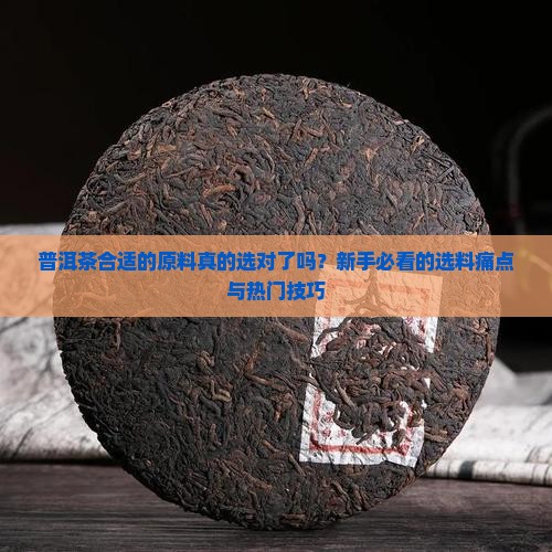 普洱茶合适的原料
