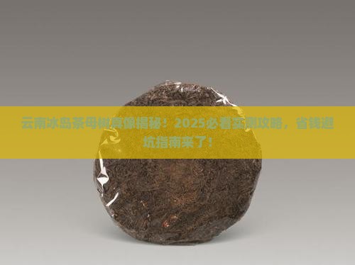云南冰岛茶母树