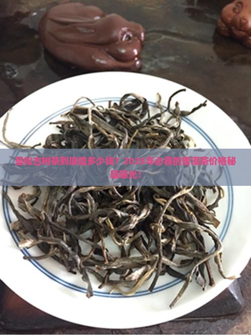 曼松普洱古树茶价格表