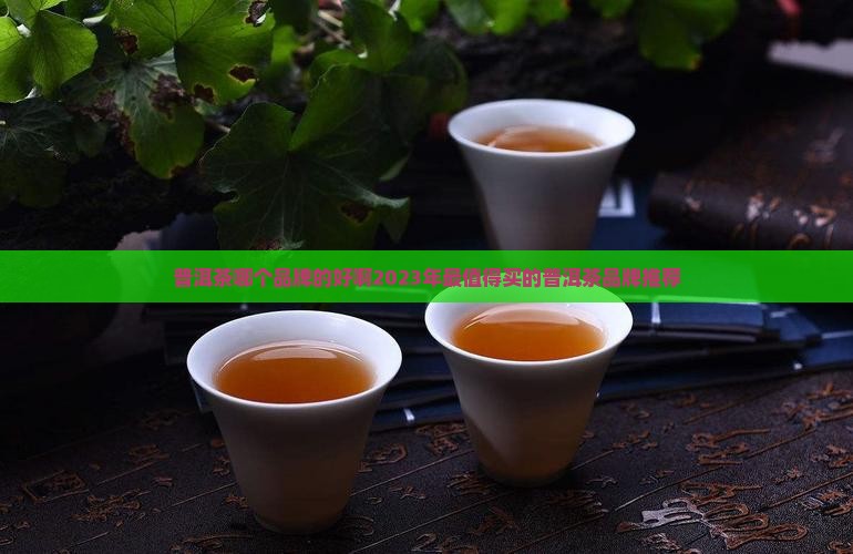 普洱茶哪个品牌的好啊