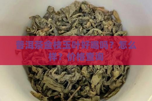 普洱茶金枝玉叶好喝吗