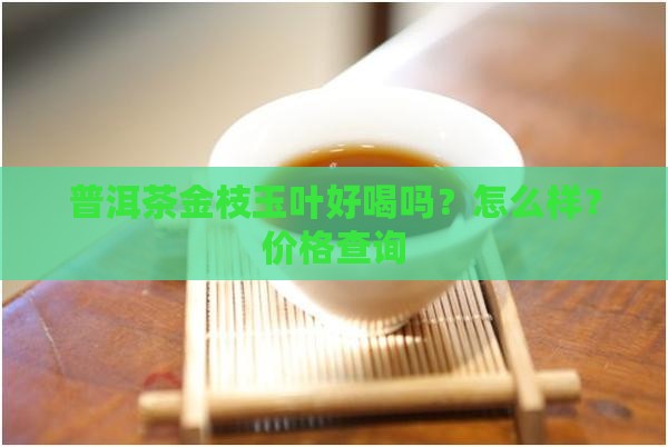 普洱茶金枝玉叶好喝吗