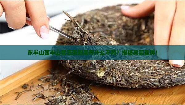 东半山西半山普洱茶特点