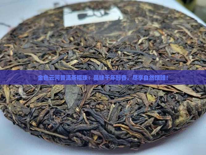 金色云河普洱茶福珠