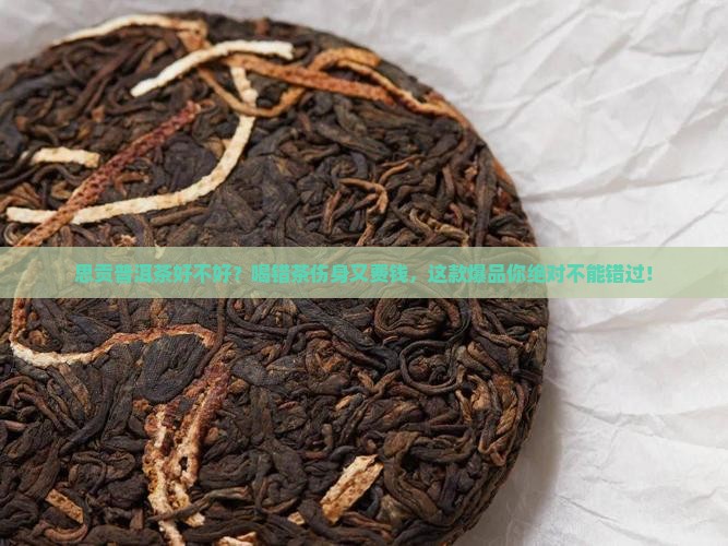 思贡普洱茶好不好