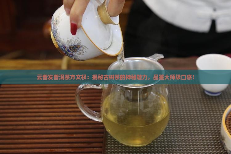 云普发普洱茶方文权