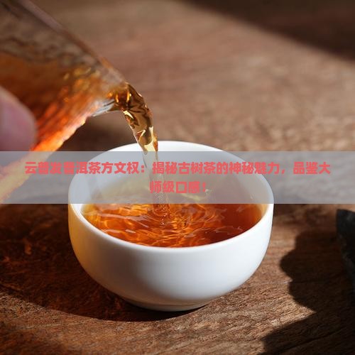 云普发普洱茶方文权