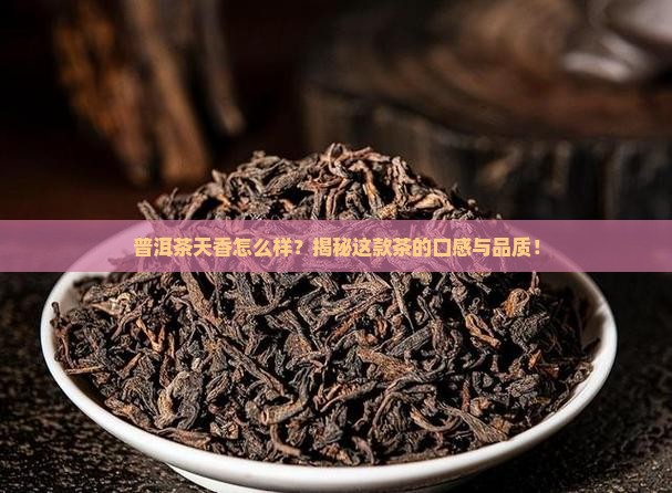 普洱茶天香怎么样