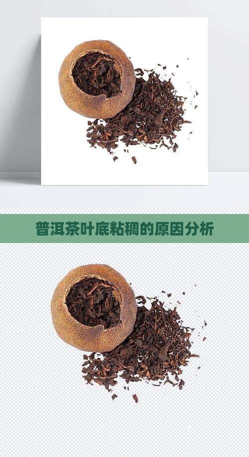 普洱茶出现叶底粘稠的原因