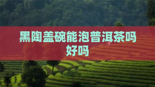 黑陶盖碗能泡普洱茶吗好吗