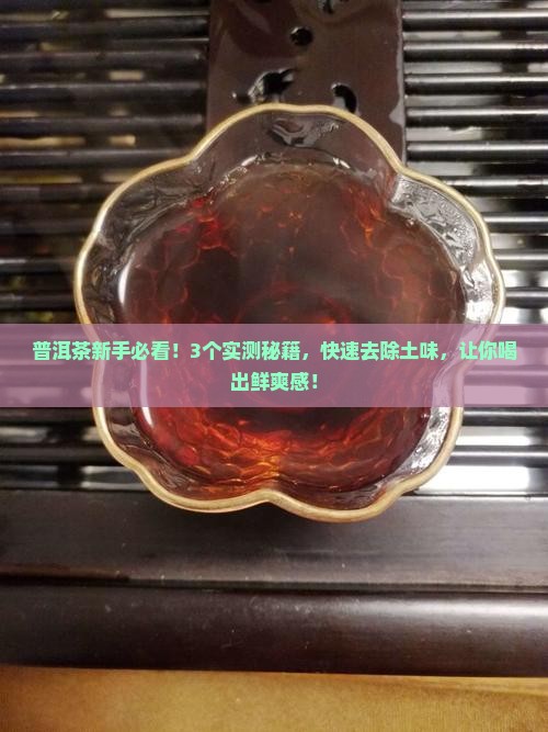 普洱茶中的土味如何去除