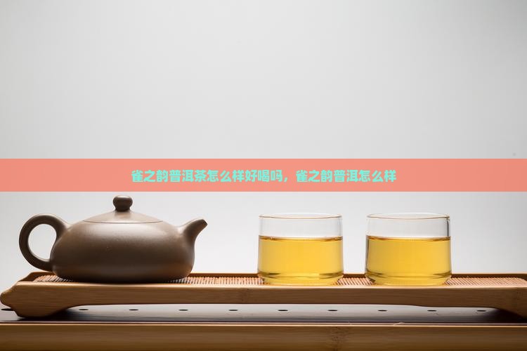 雀之韵普洱茶怎么样